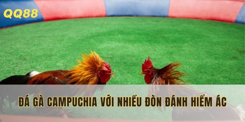 Một hình thức lý tưởng cho người đam mê