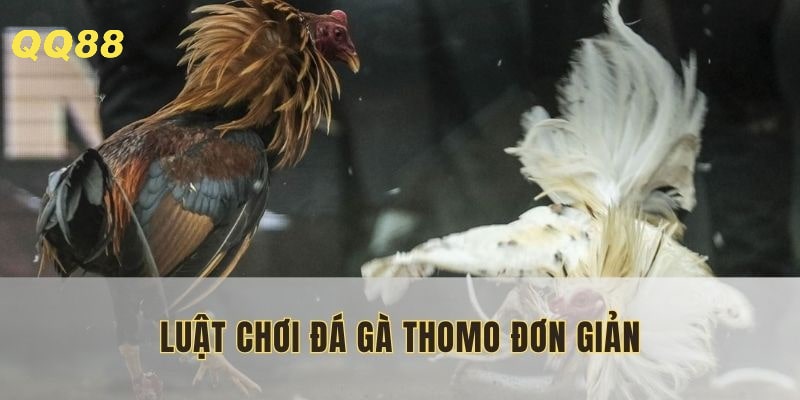 Luật được cập nhật chi tiết trên trang chủ