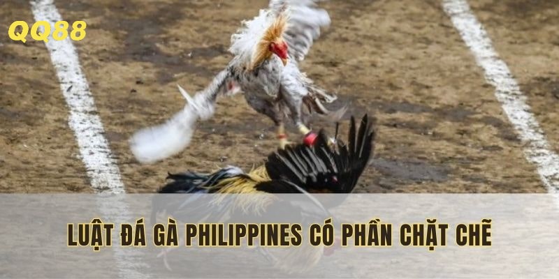 Tất cả đều tuân theo quy định chuẩn quốc tế