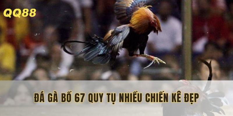 Tốc độ một trận đấu diễn ra nhanh chóng